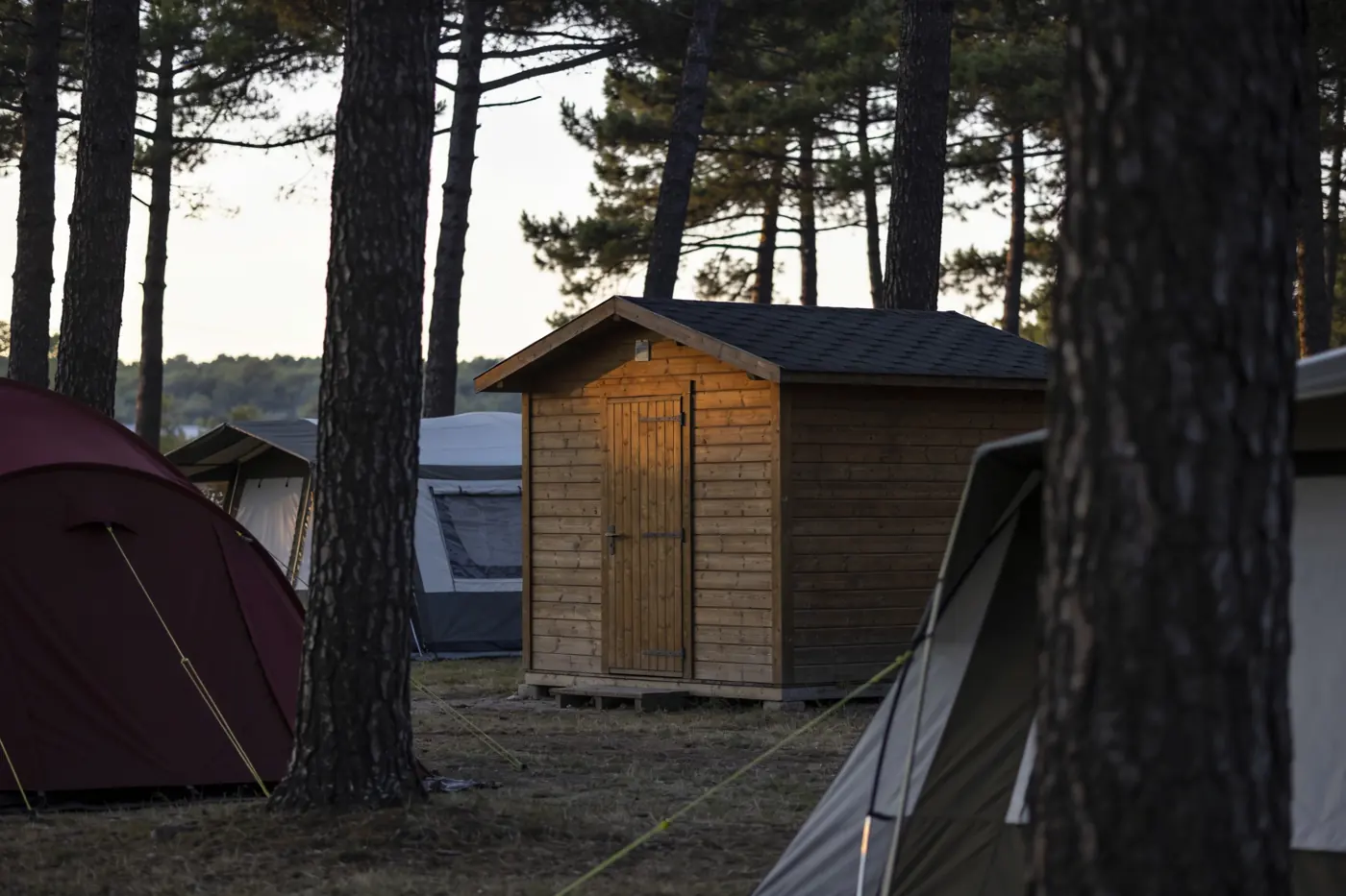 Illustration : camping
